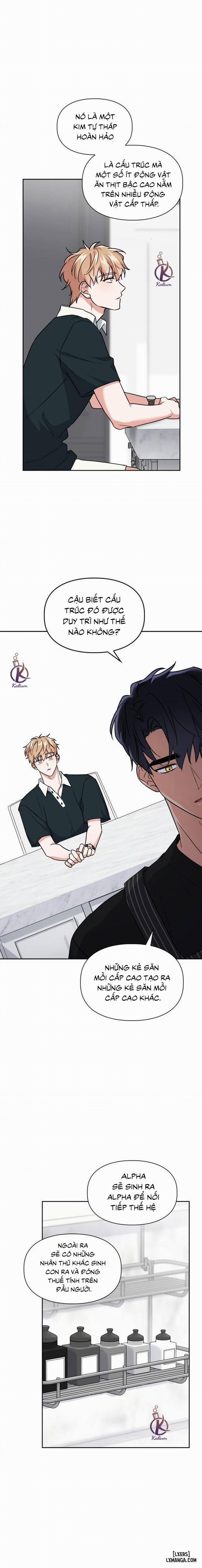 Mồi nhử 48 trang 4