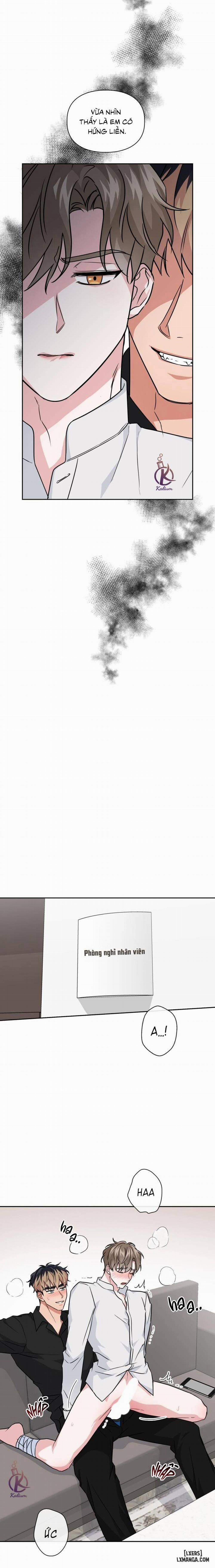 Mồi nhử 48 trang 9