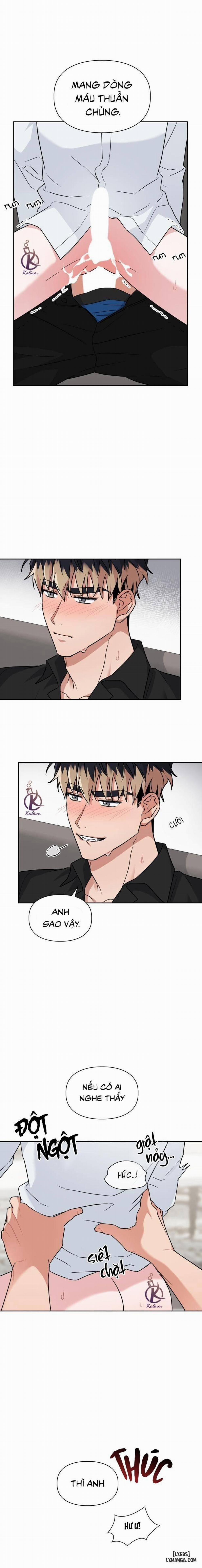 Mồi nhử 49 trang 1