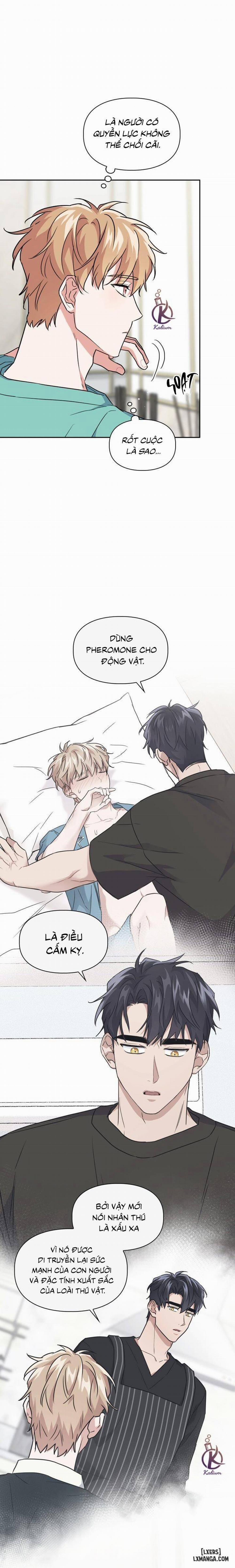 Mồi nhử 49 trang 11