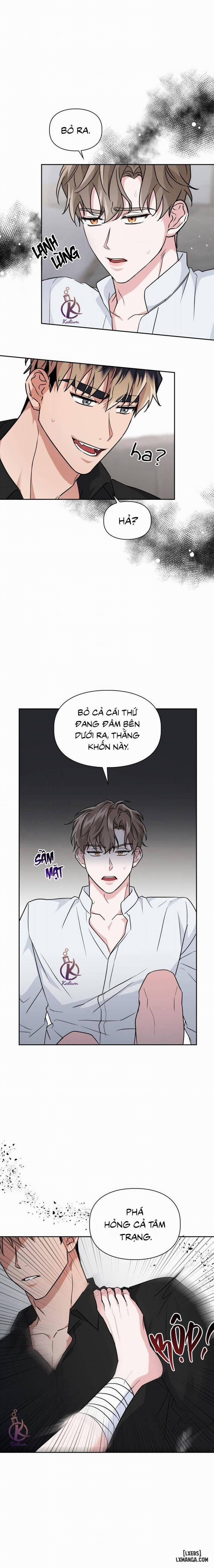 Mồi nhử 49 trang 6