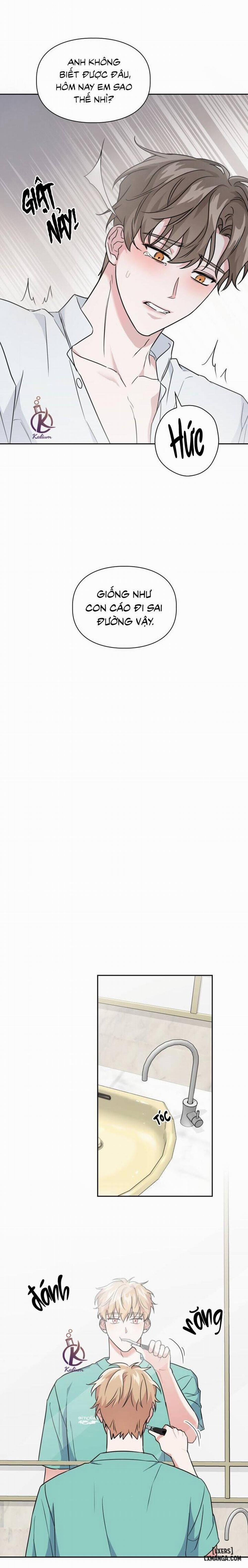 Mồi nhử 49 trang 9