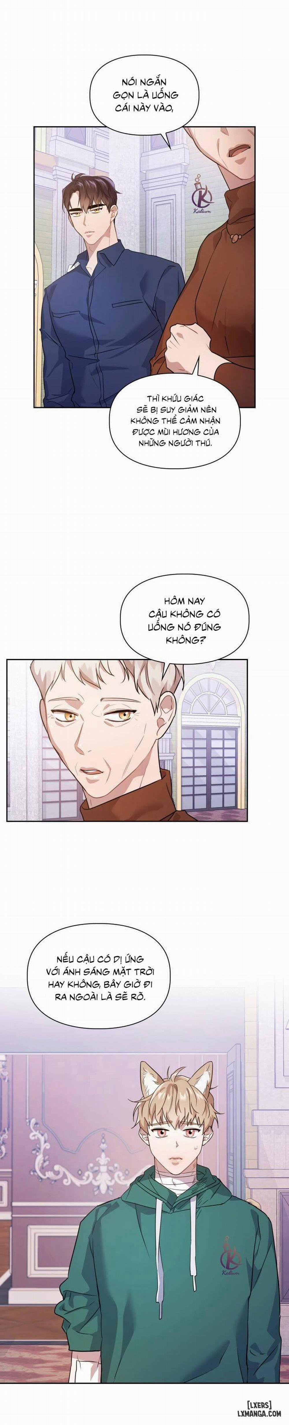 Mồi nhử 5 trang 10