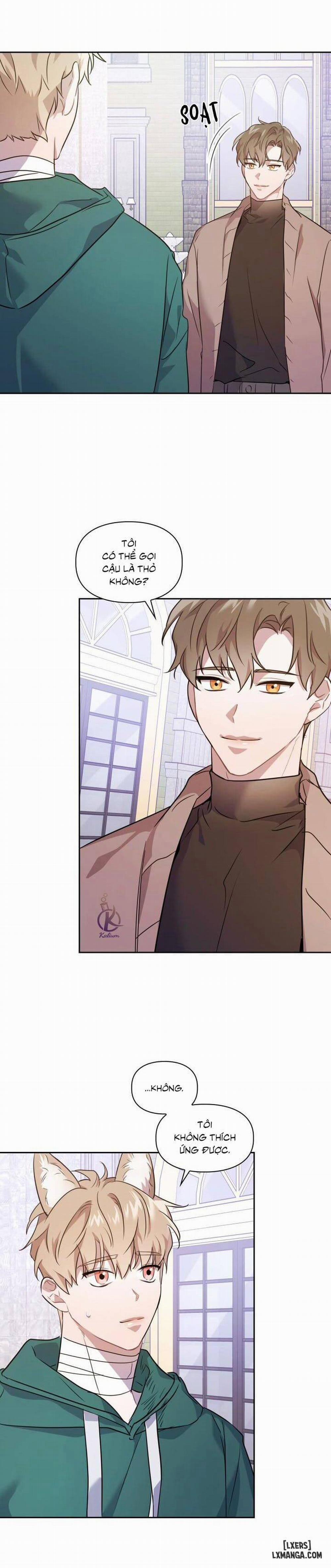 Mồi nhử 5 trang 13