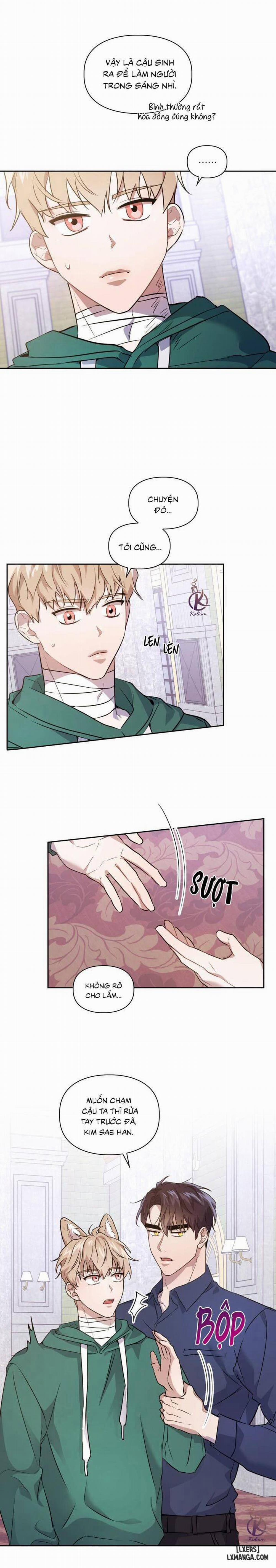 Mồi nhử 5 trang 15