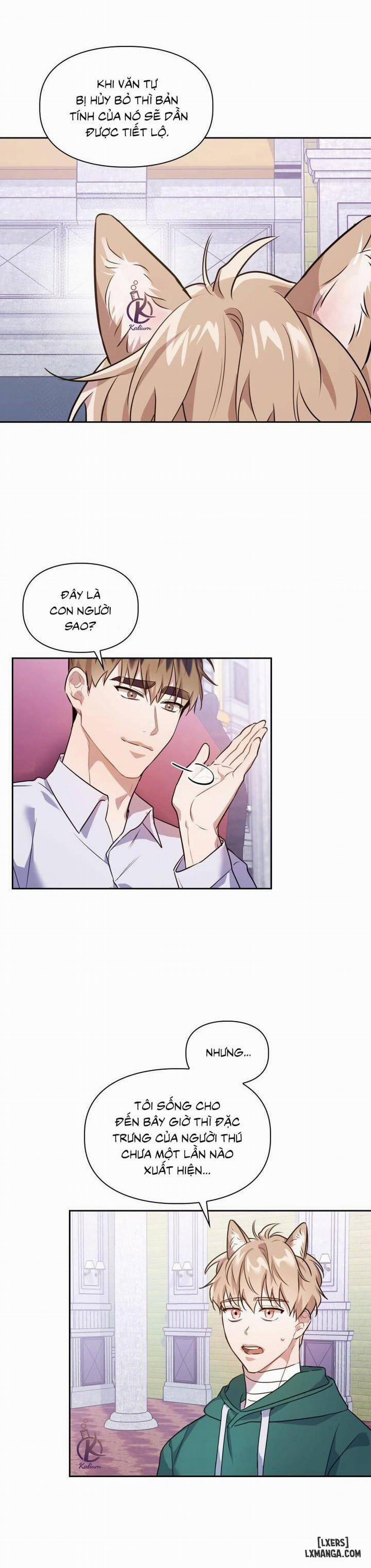 Mồi nhử 5 trang 8