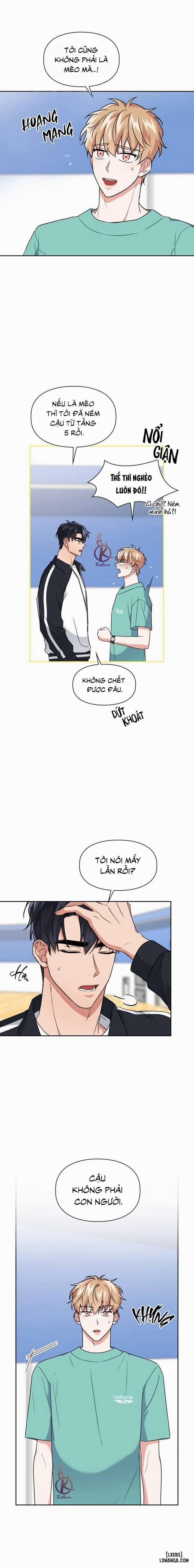 Mồi nhử 50 trang 1