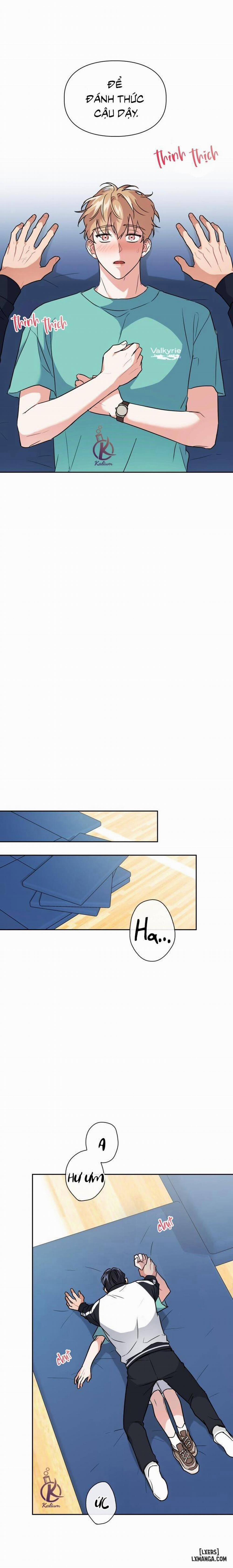 Mồi nhử 50 trang 12