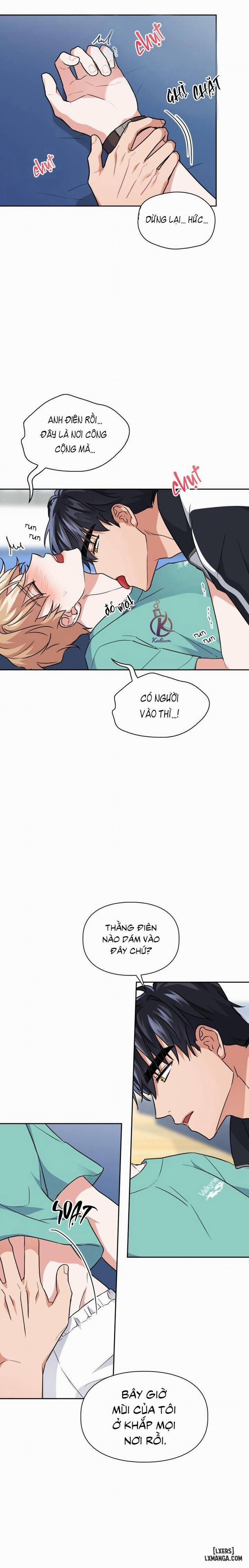 Mồi nhử 50 trang 13