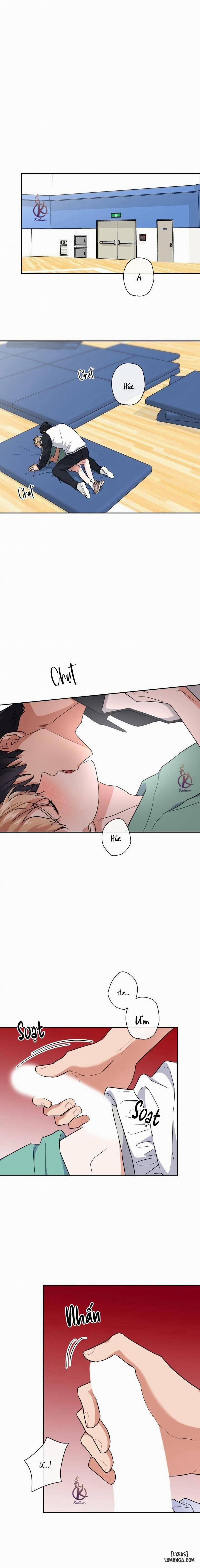 Mồi nhử 51 trang 0