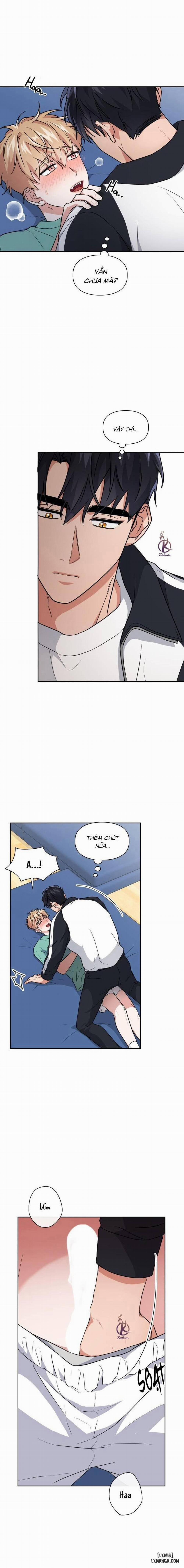 Mồi nhử 51 trang 1