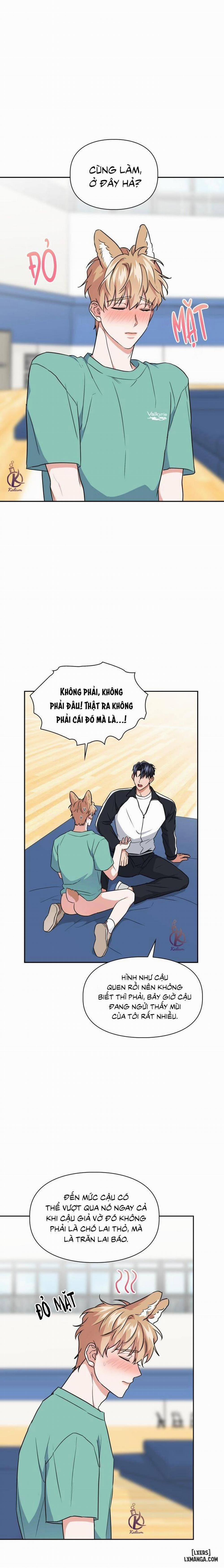 Mồi nhử 51 trang 10