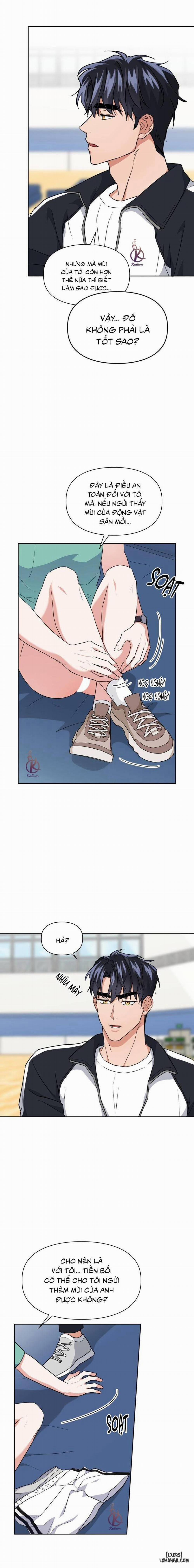 Mồi nhử 51 trang 11