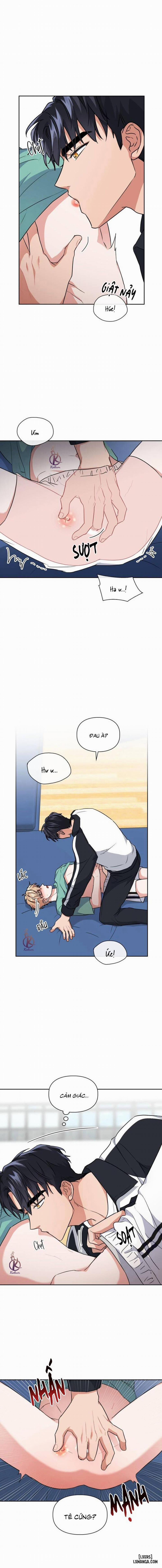 Mồi nhử 51 trang 3