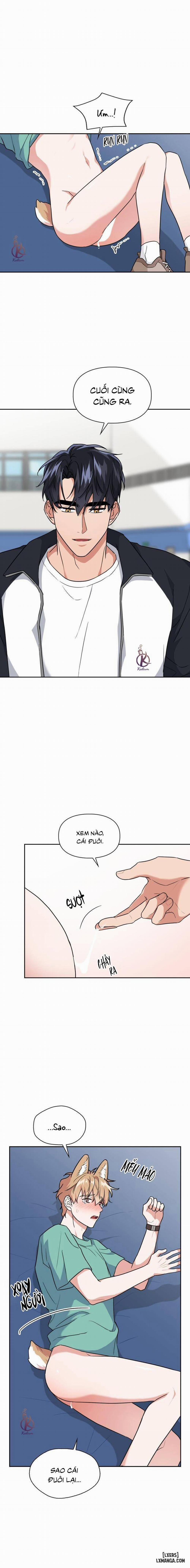 Mồi nhử 51 trang 5