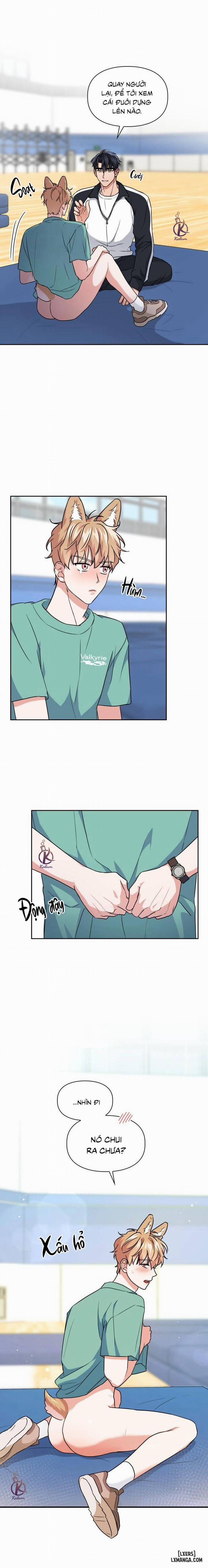 Mồi nhử 51 trang 6