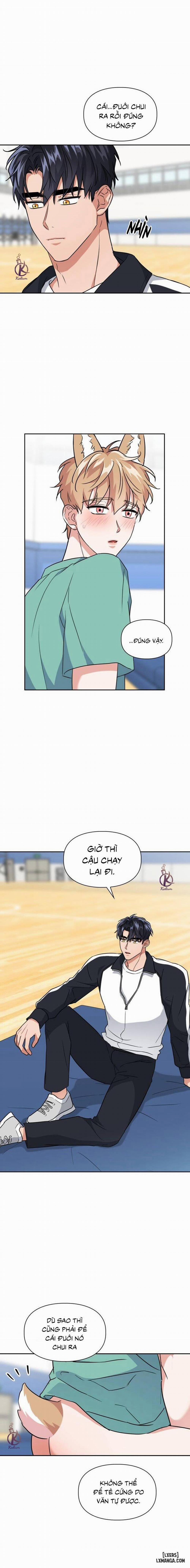 Mồi nhử 51 trang 7