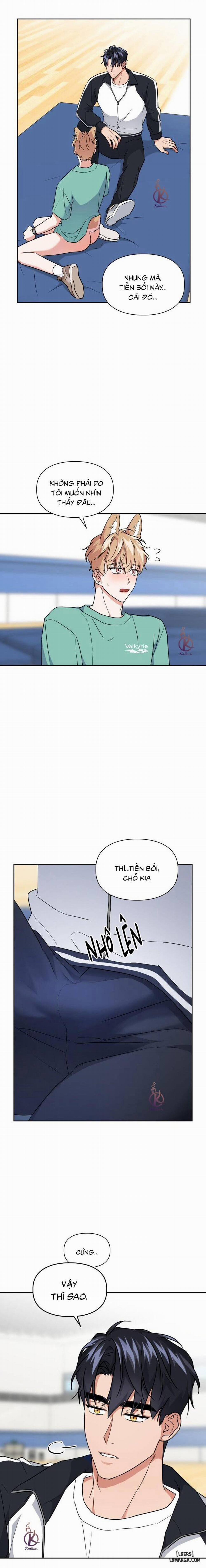 Mồi nhử 51 trang 9