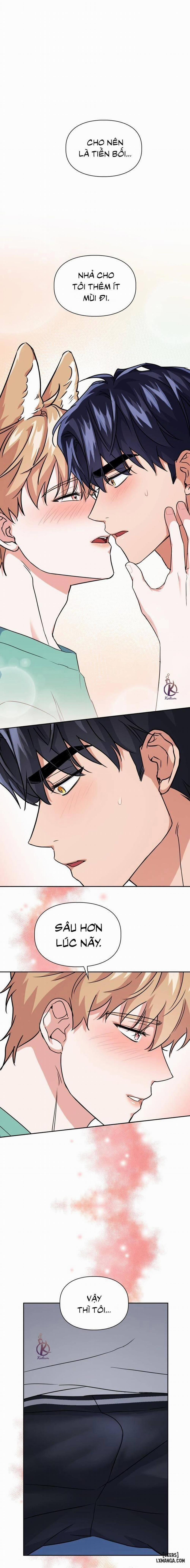 Mồi nhử 52 trang 0