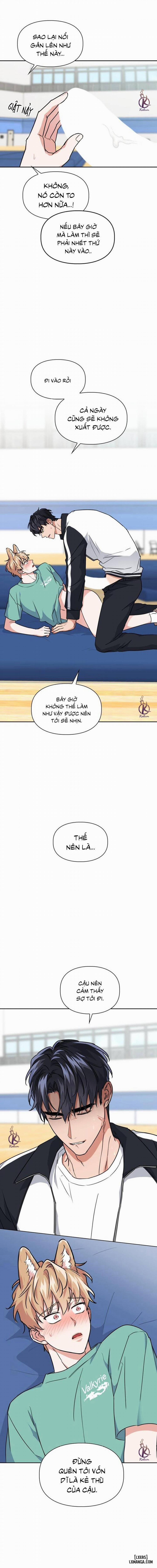 Mồi nhử 52 trang 10