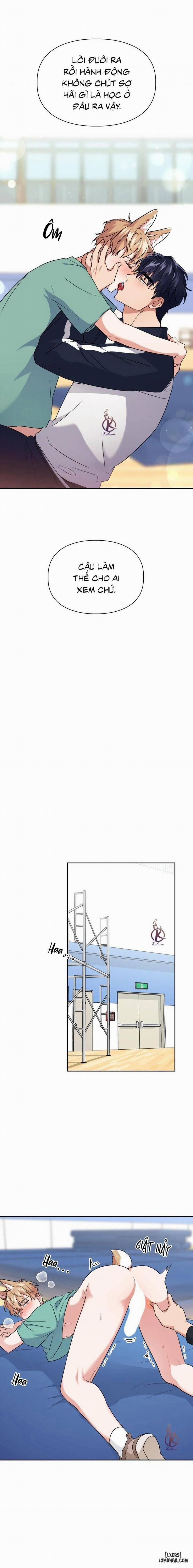 Mồi nhử 52 trang 2