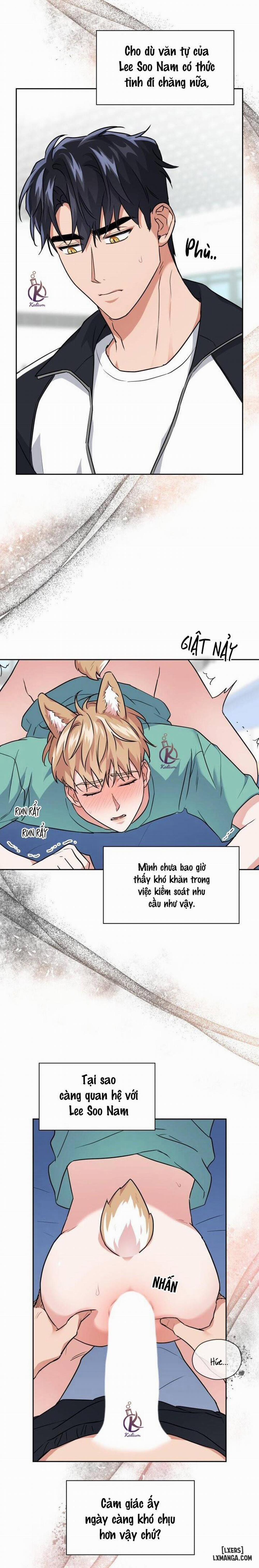 Mồi nhử 52 trang 5