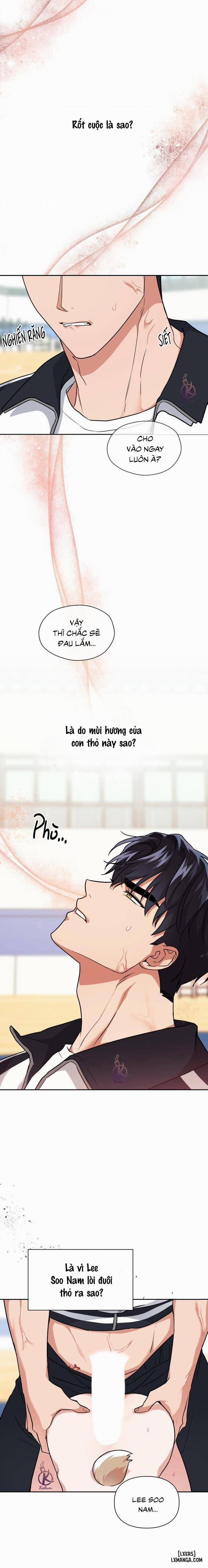 Mồi nhử 52 trang 6