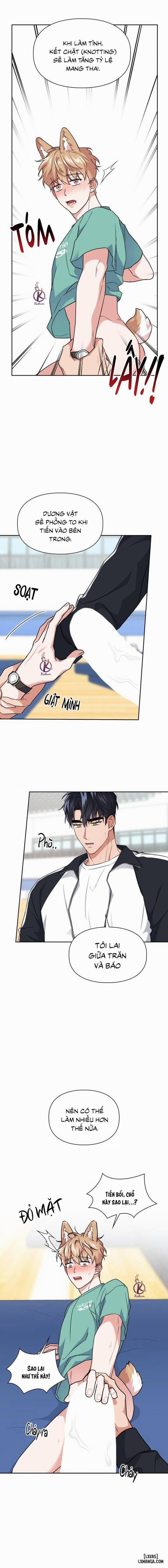 Mồi nhử 52 trang 9