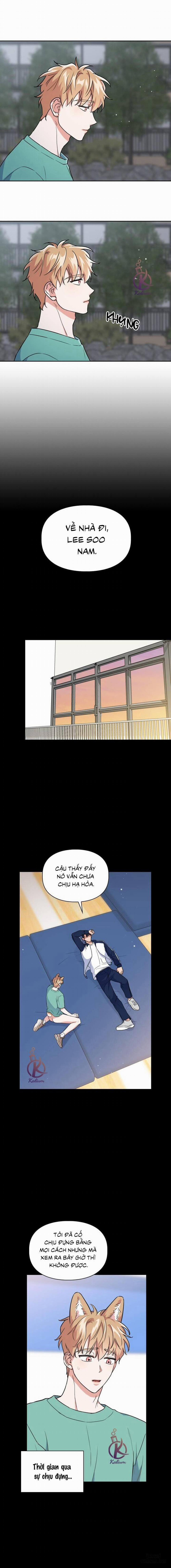 Mồi nhử 53 trang 8