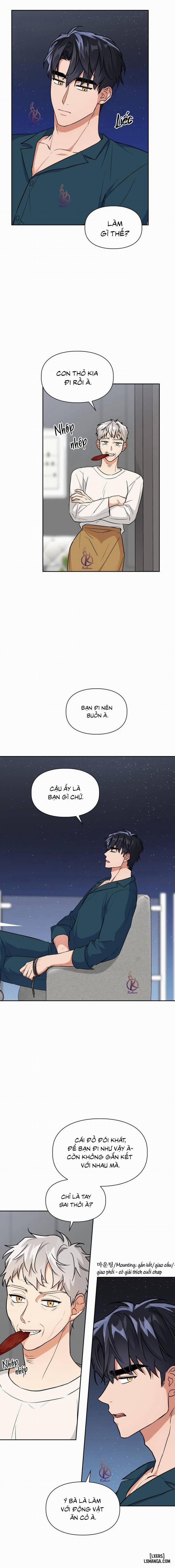 Mồi nhử 54 trang 15