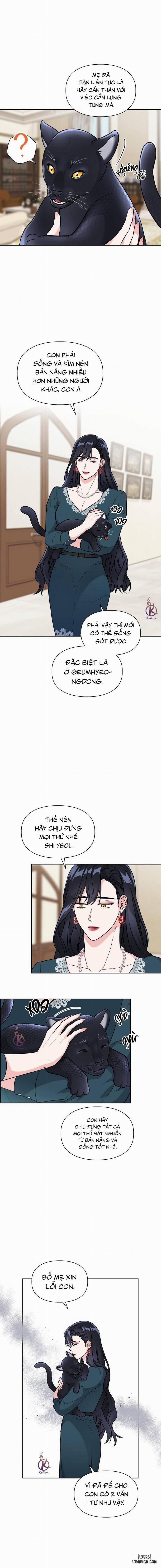 Mồi nhử 55 trang 1