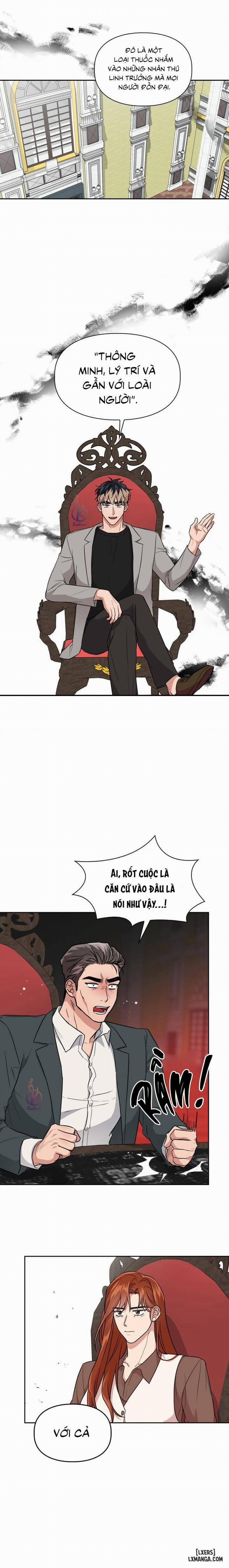 Mồi nhử 56 trang 11