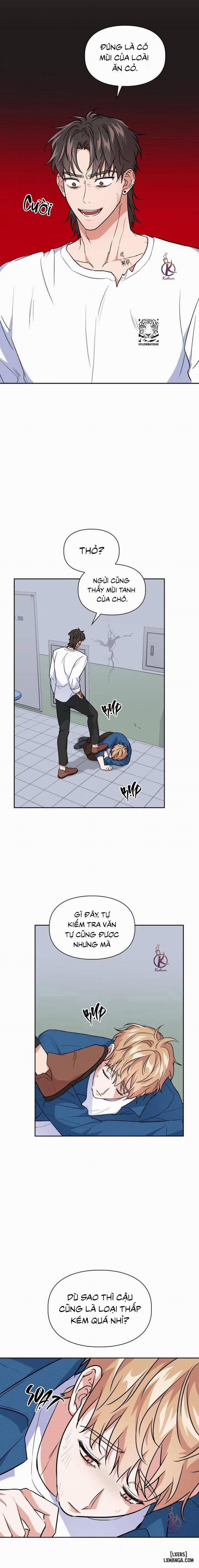 Mồi nhử 57 trang 13