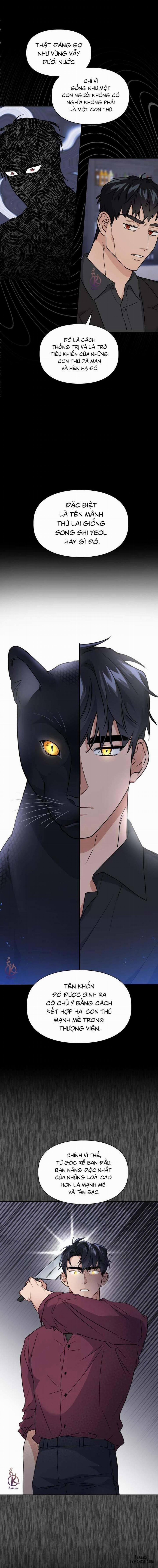 Mồi nhử 58 trang 2