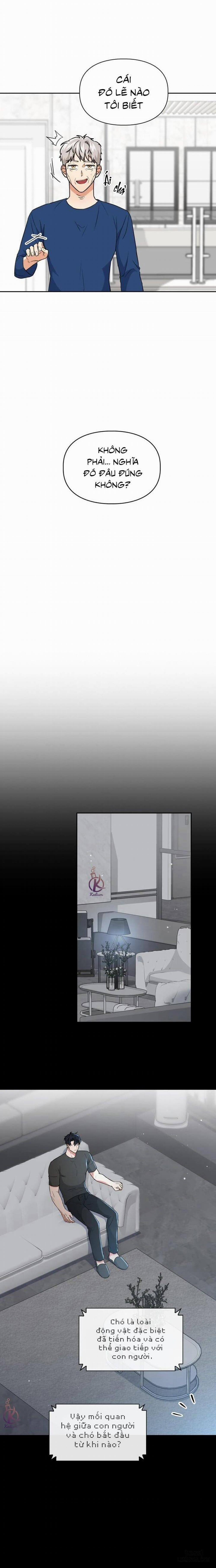 Mồi nhử 59 trang 10