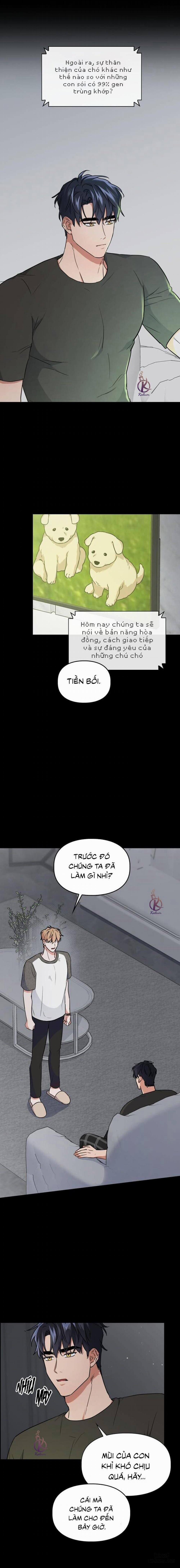 Mồi nhử 59 trang 11