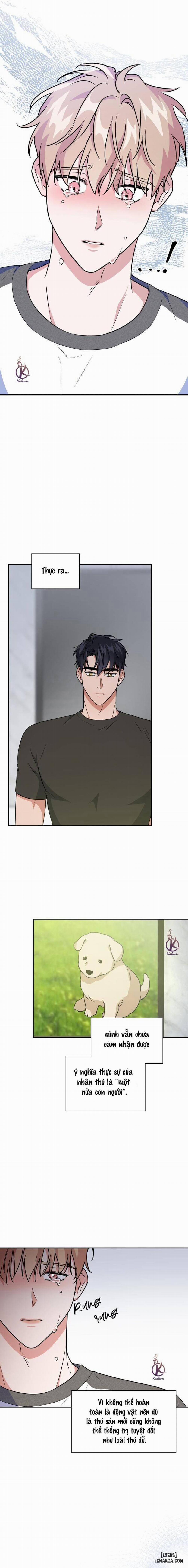 Mồi nhử 60 trang 10