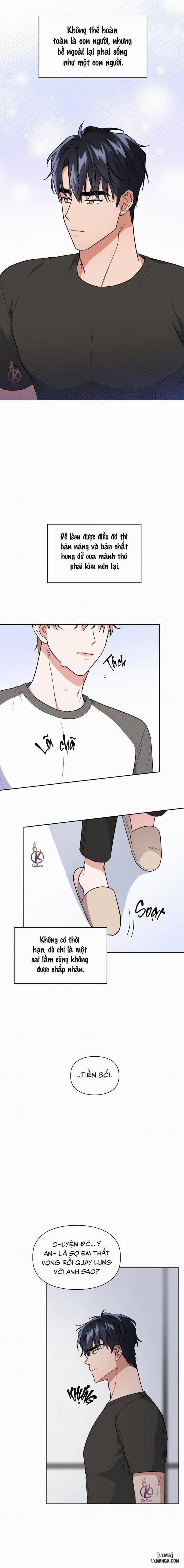 Mồi nhử 60 trang 11