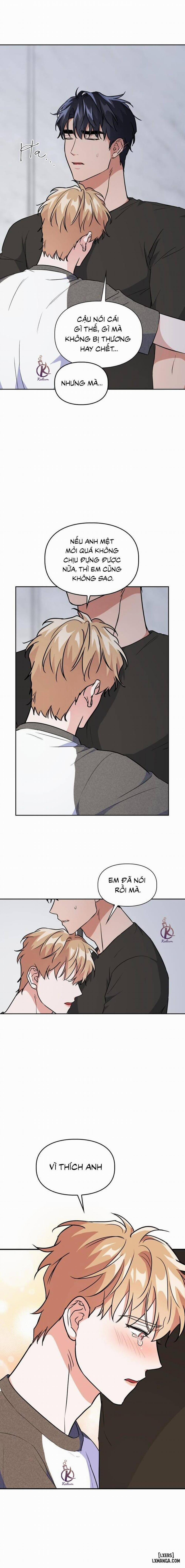 Mồi nhử 60 trang 13