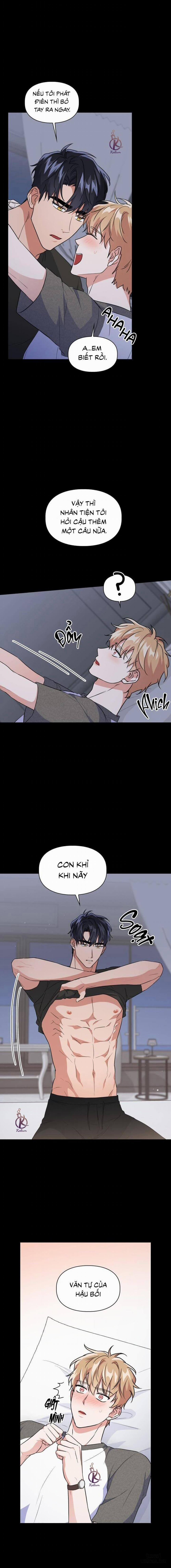 Mồi nhử 60 trang 16