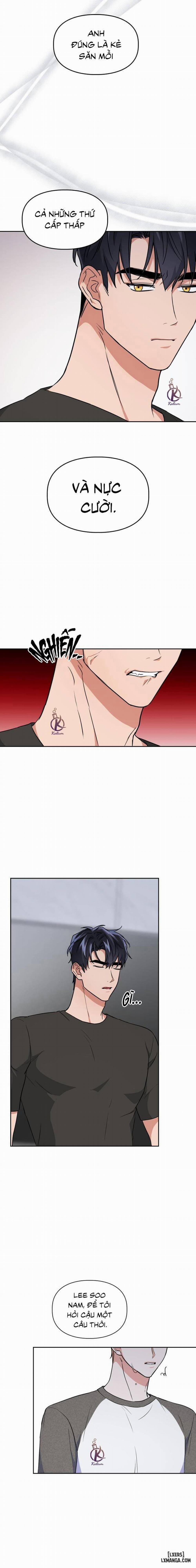 Mồi nhử 60 trang 5