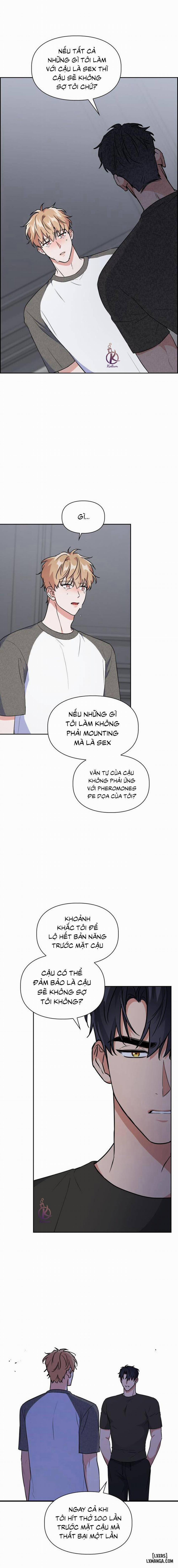 Mồi nhử 60 trang 6