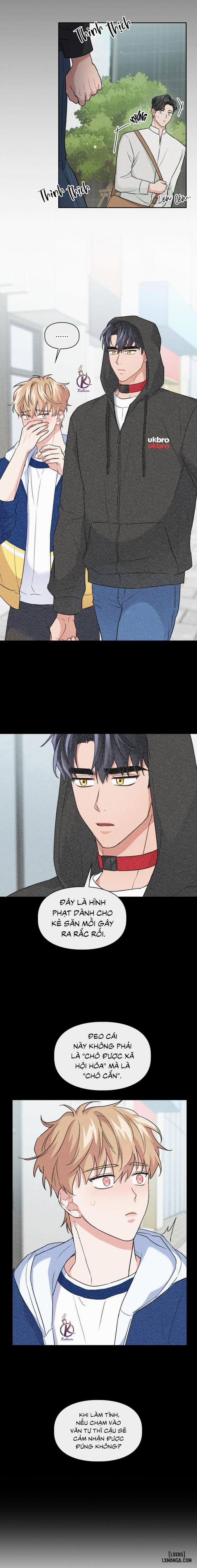 Mồi nhử 60 trang 8