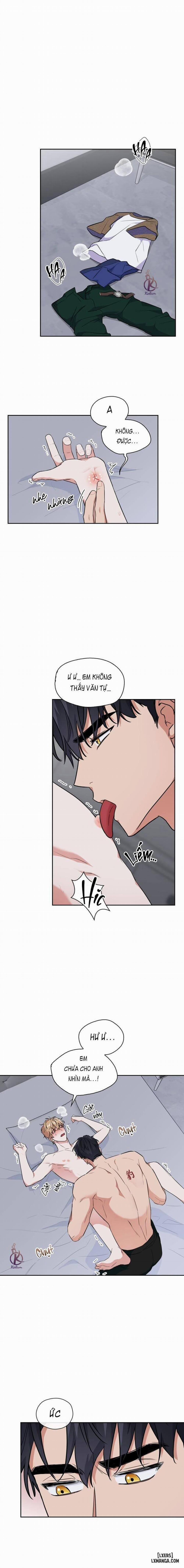 Mồi nhử 61 trang 0