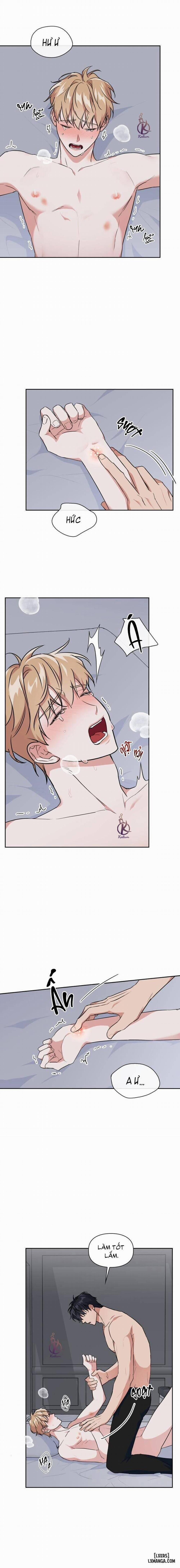 Mồi nhử 61 trang 1