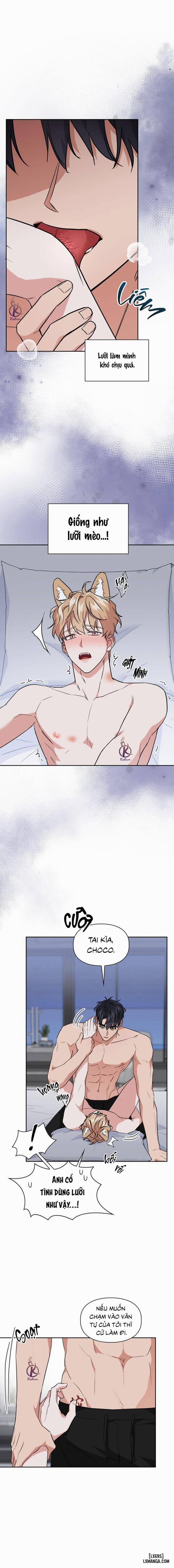 Mồi nhử 61 trang 3