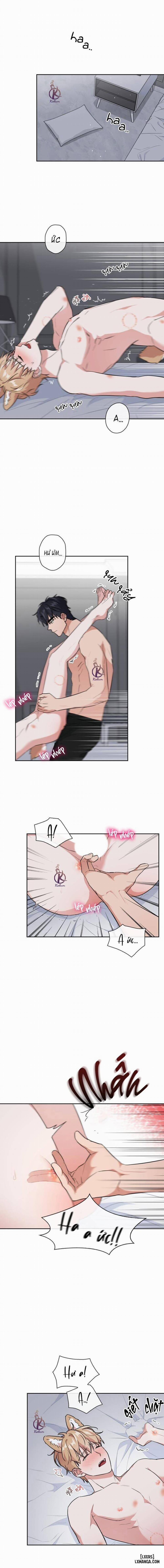 Mồi nhử 61 trang 5