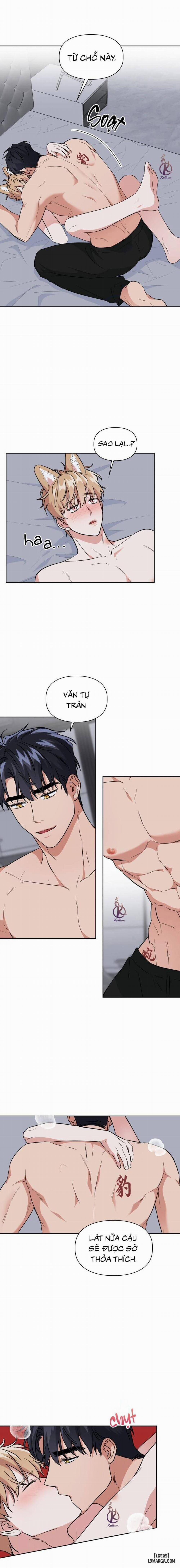 Mồi nhử 61 trang 7