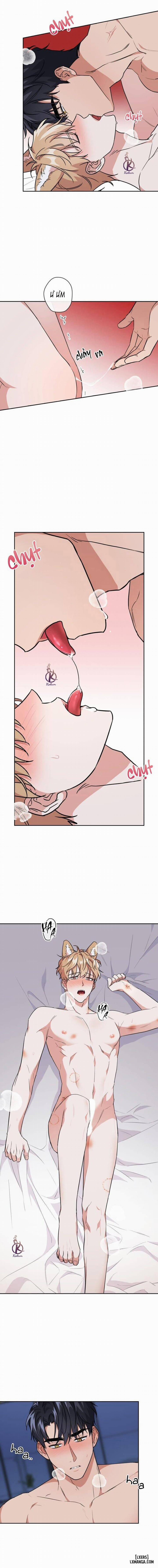 Mồi nhử 61 trang 8