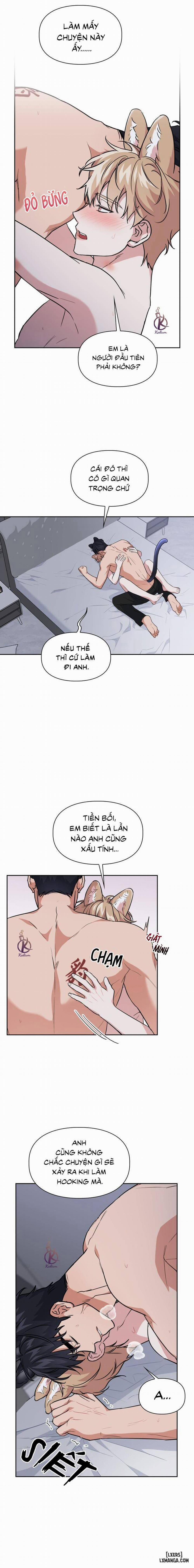 Mồi nhử 62 trang 7